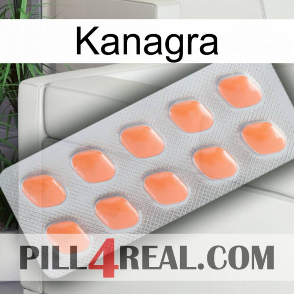 Kanagra 26.jpg